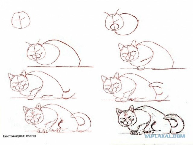 Как нарисовать голову