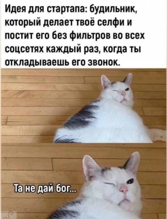 Интернет-мемчики на вторник и рабочее место