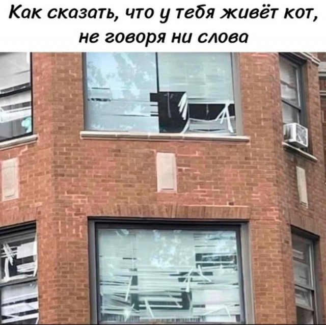Веселое настроение в картинках (13.07.2025)