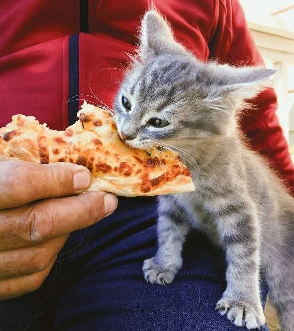 День вкусной еды отмечается сегодня