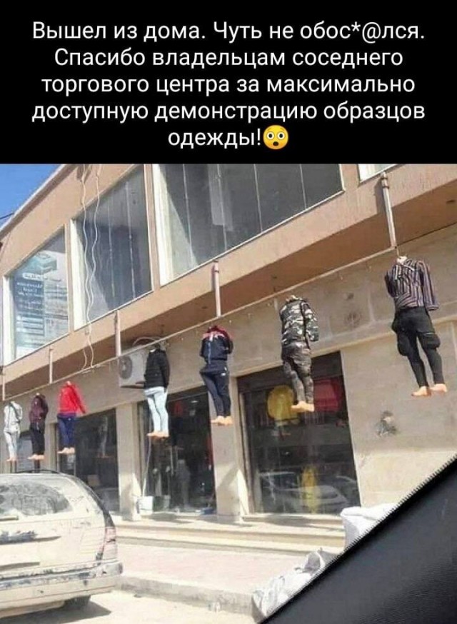 Весёлый полтишок 19.08.25
