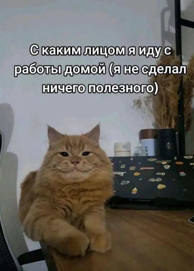 Веселые картинки в маленькую пятницу (24.09)