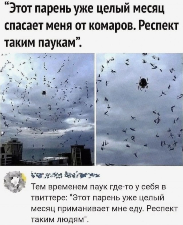 Картинки для деградации 51 (разной степени свежести)