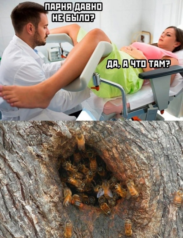 Забавные и не очень скромные картинки - 16
