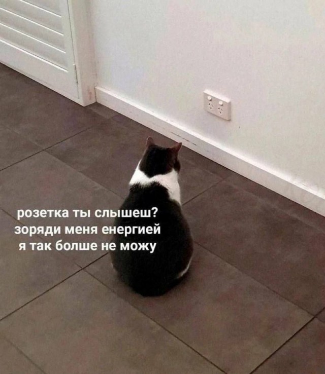 Небаянистая деградация 2