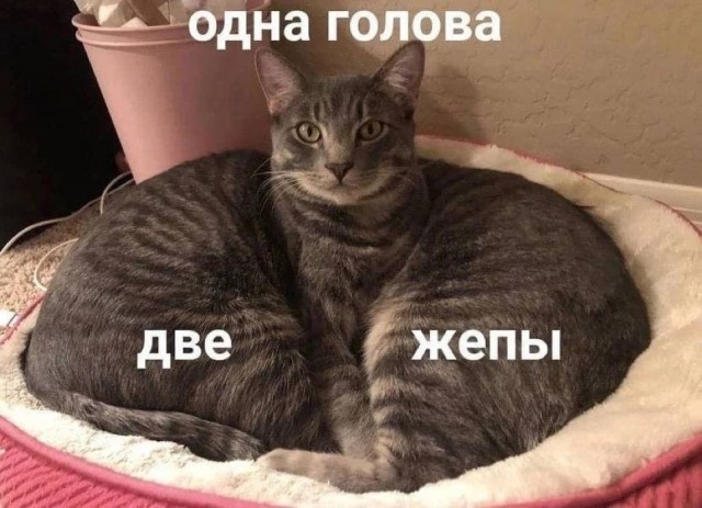 Дегрономикон 2