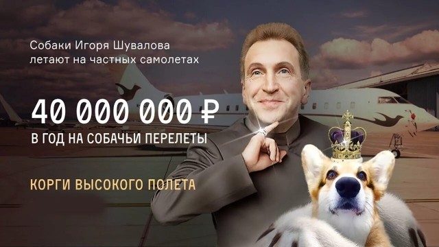 Дебилы бл@ть !
