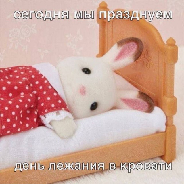 Дегрономикон 8