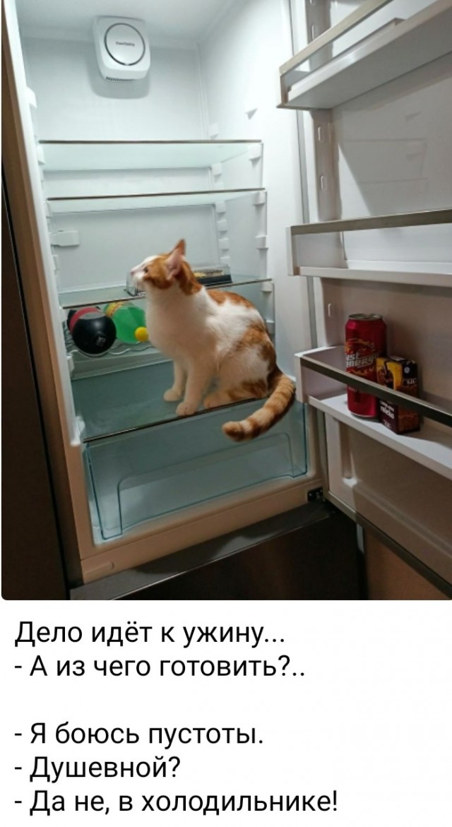 Картиночки, баянчики 08 января
