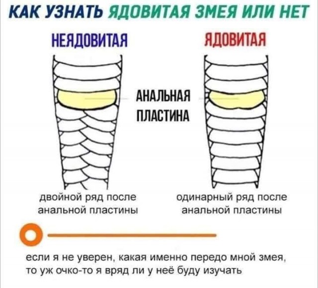 Маленькая пятница 21.01