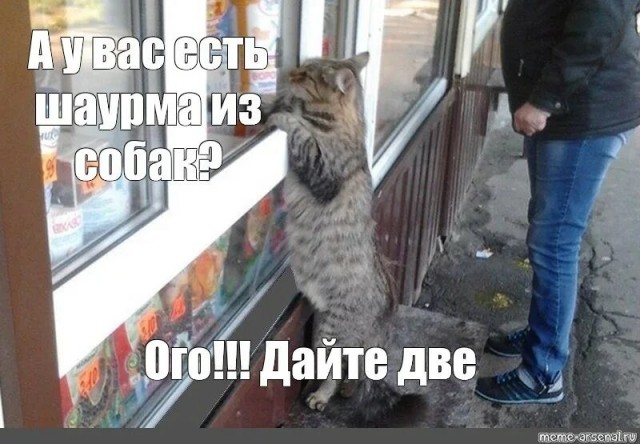 Шаурма по-тайваньски за 160 рублей