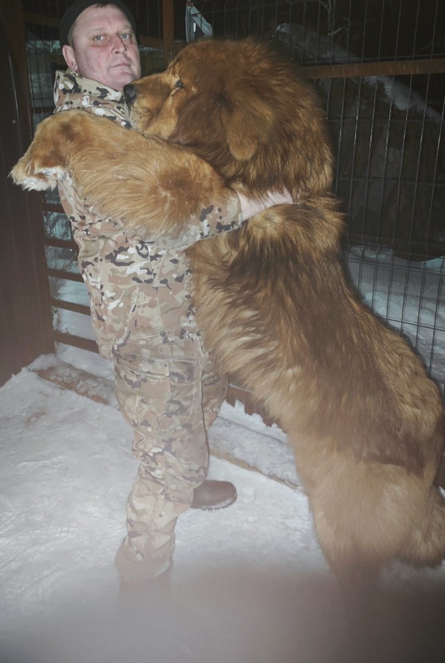 Собакочетверг же