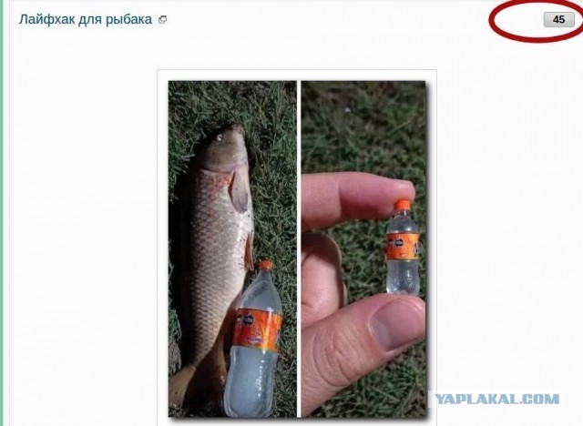 Лайфхак для рыбака⁠