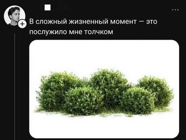 Картинки для деградации 206 (разной степени свежести)