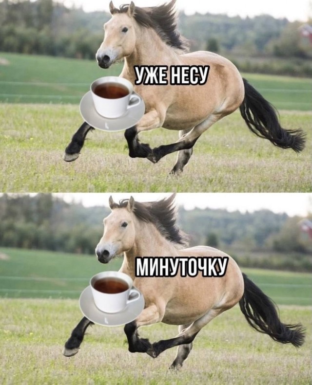 Обознатушки-перепрятушки