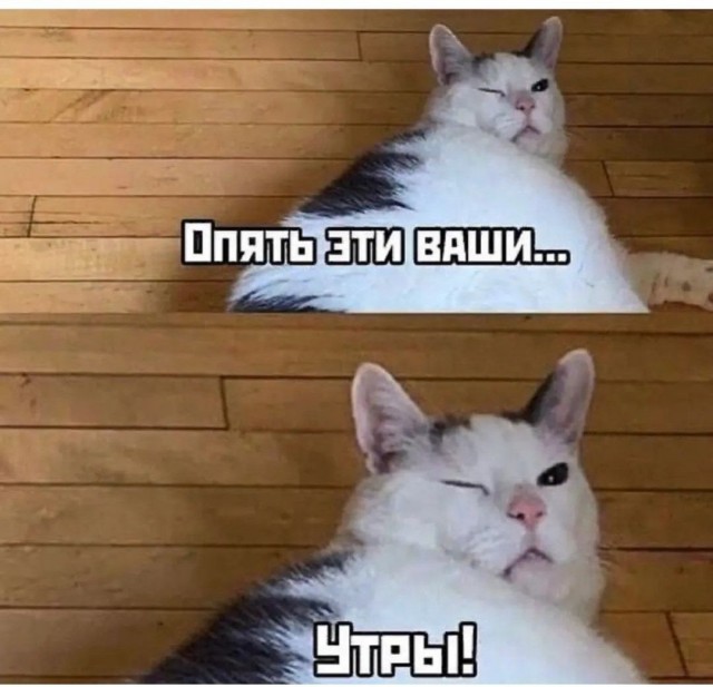 Хочу красивых мужиков в ленту!