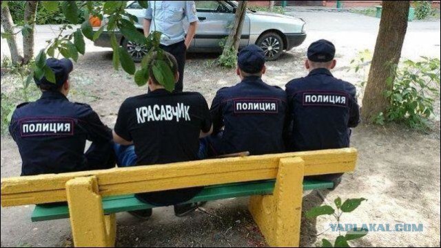 Смешные картинки и комментарии