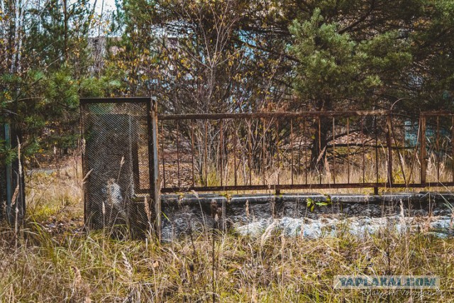 Припять.Ясли-сад завода Юпитер "Звездочка"