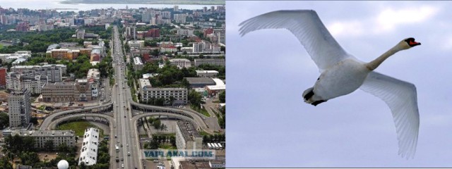 Хабаровск