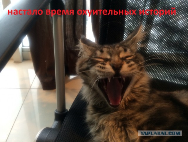 Открыл дверь на свою голову ...