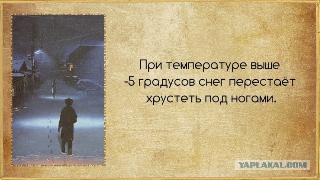 Факты в картинках