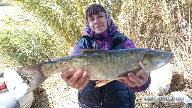 Маленький отчет с рыбалки