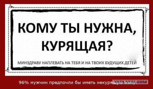 20 фактов обо всем