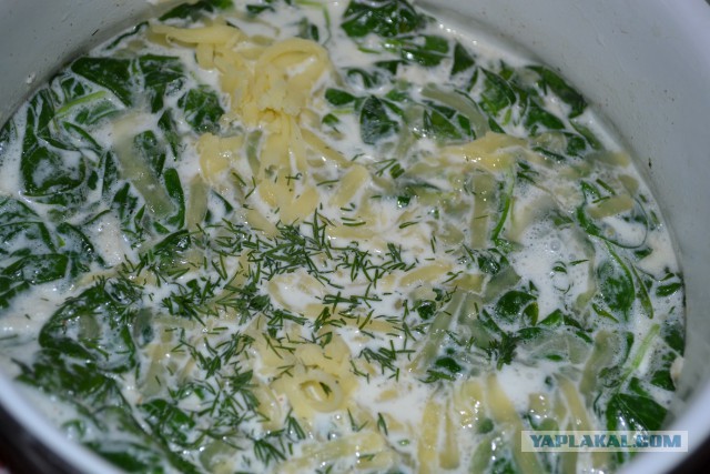 День Судака, или как мы с пельменной иглы слазили