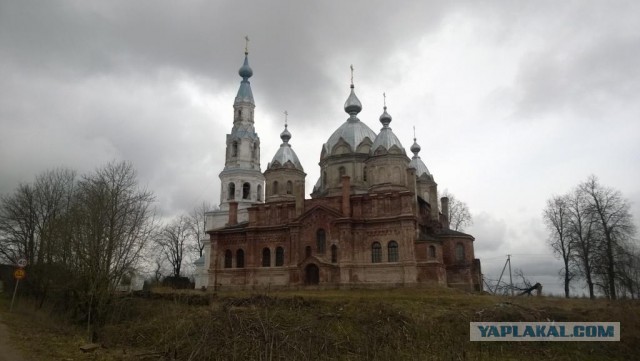 Утка по-Кенигсбергски, Гринпис проходит мимо!