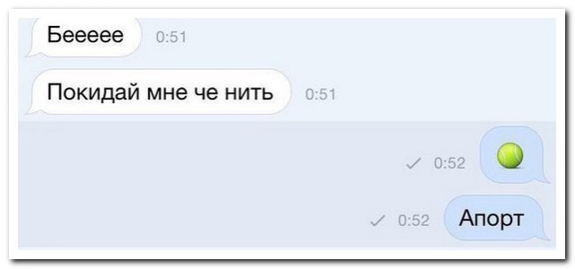 Смешные комментарии из социальных сетей 11.09.15