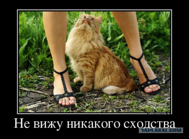 Демотиваторы