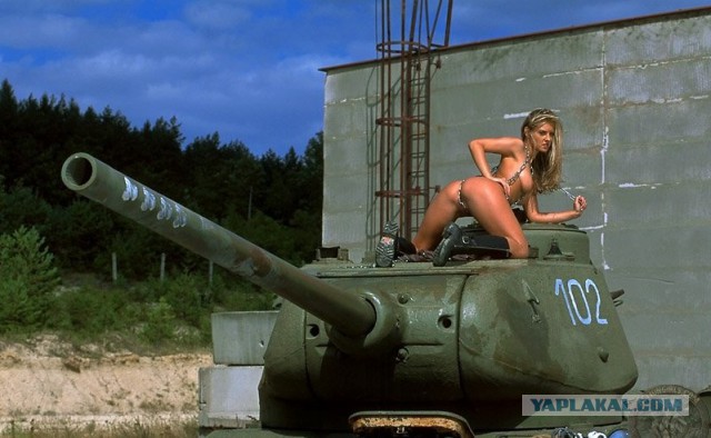 Wargaming 31