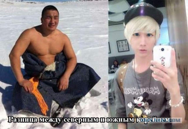 Веселые картинки