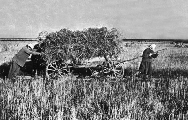 Редкие исторические фотографии