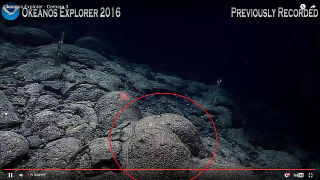 Началась онлайн-трансляция происходящего в самом глубоком месте Земли