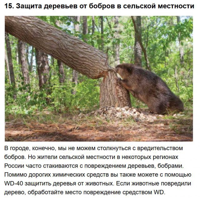 Пост обожания WD-40