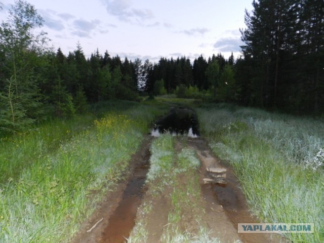 Морозное доброе утро или поленница перфекциониста