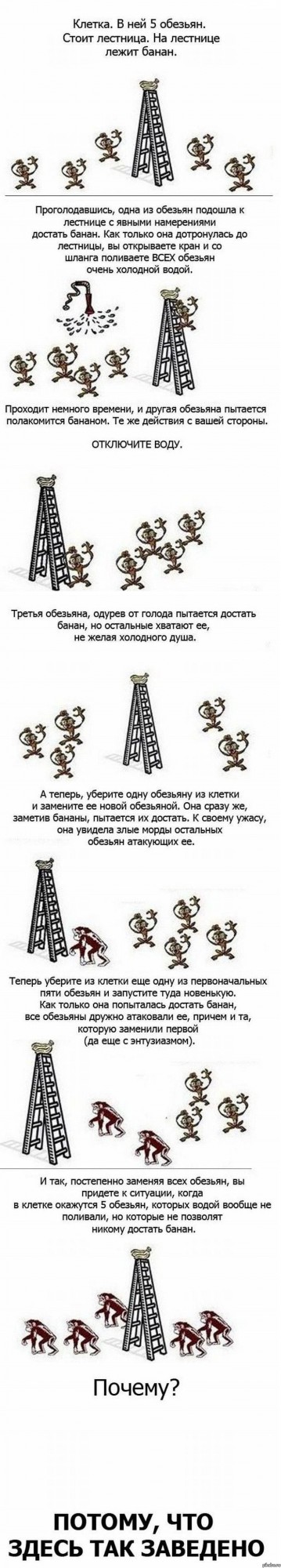 Эти мать и сын готовы отправиться в тюрьму из-за генетического полового влечения