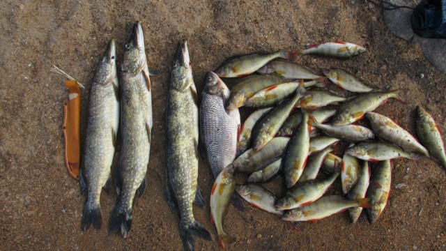 Сплав по реке Умба, Кольский полуостров с выходом в Белое море