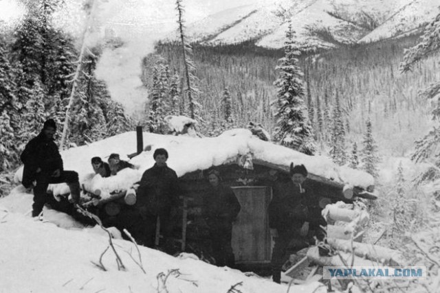 Тайга, страшные истории