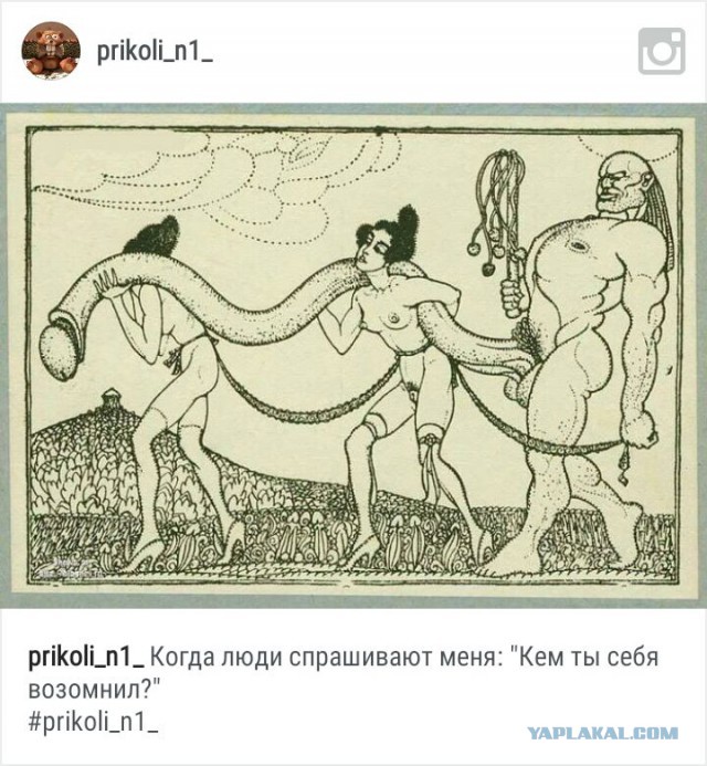 Немного пошлятины. Юмор для взрослых