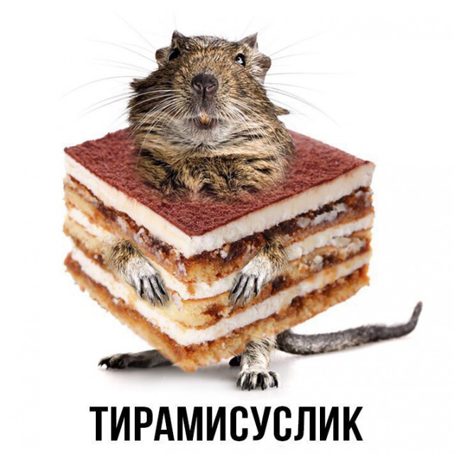 Шлакоблокунь и друзья