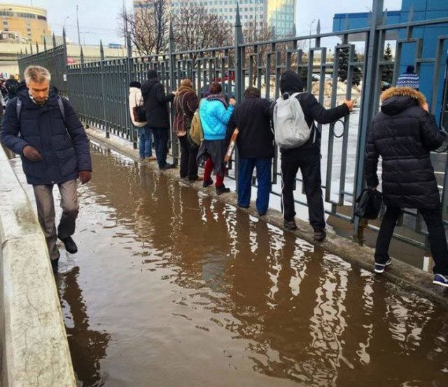 Подборка безудержного веселья