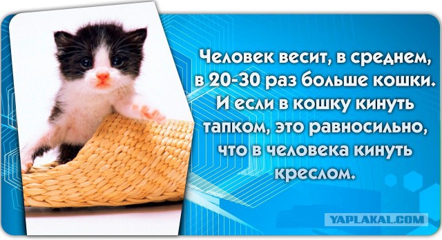 56 неожиданных фактов о большинстве которых вы не знали.
