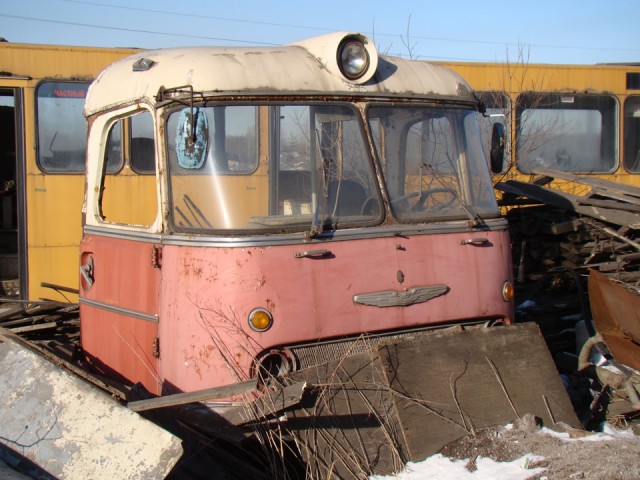 Ikarus 55 Lux "Сигара". Восставший красавчик