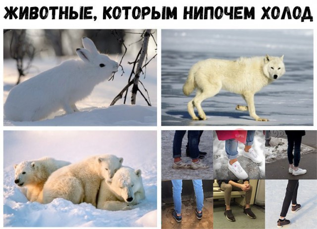 Подборка интересных и веселых картинок
