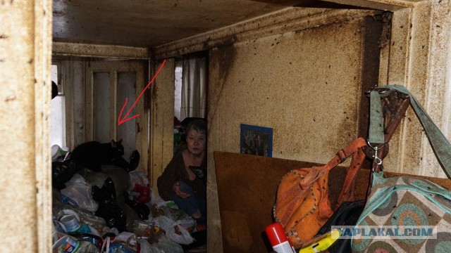 "Тараканы сыпались прямо на голову". В Екатеринбурге квартира, из-за которой в доме нет газа, оказалась помойкой с тараканами