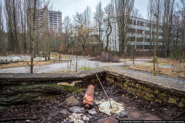 Мёртвый город Припять. Джунгли Чернобыля