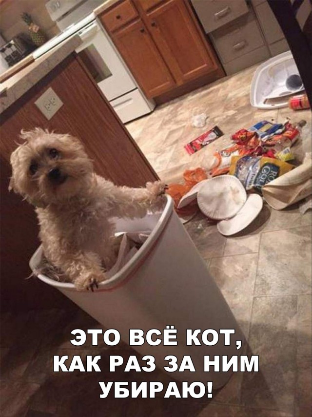 Нестандартный юмор