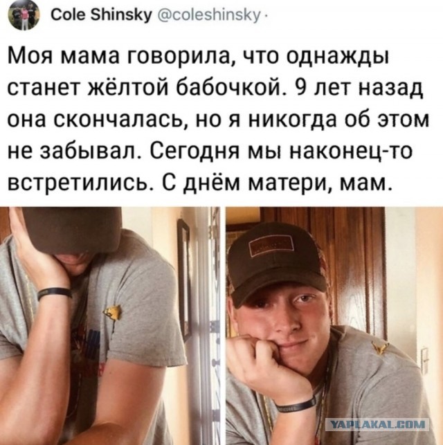 Картинки с надписями, истории и анекдоты